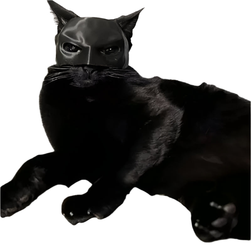 Cat Bat Mask
