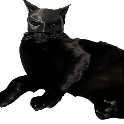 Cat Bat Mask