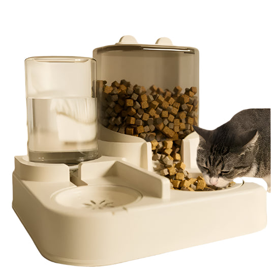 Cat Feeding And Water Founntain Drinker