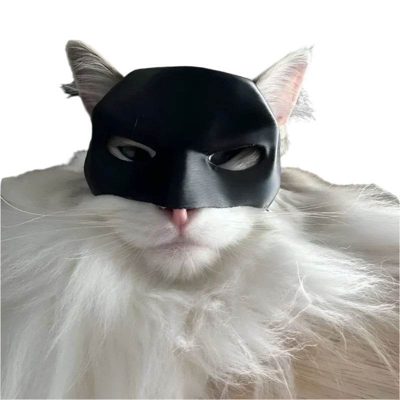 Cat Bat Mask