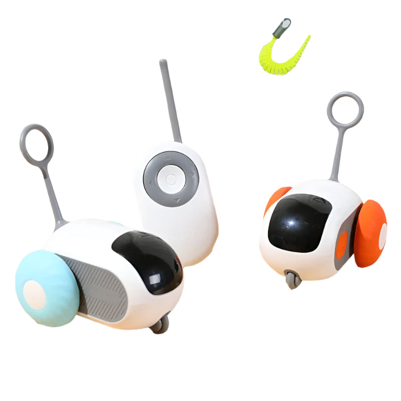 Car Remote Mouse