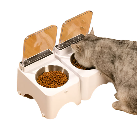 Smart Cat Bowl